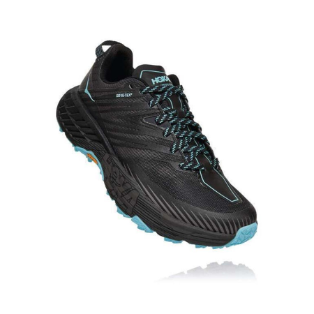 Кроссовки женские HOKA W SPEEDGOAT 4 GTX Anthracite / Dark Gull Grey